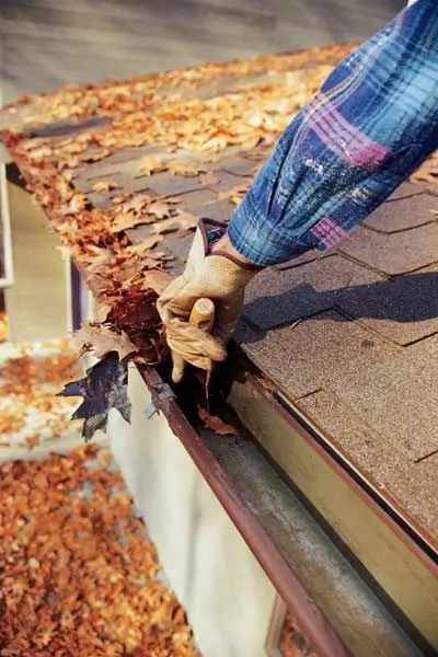 Gutter Cleaning Service Near Me