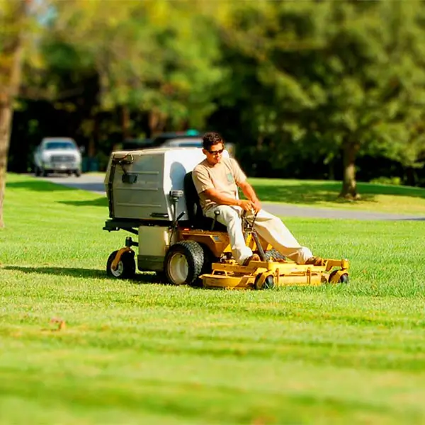 Lawn Care Services Near Me